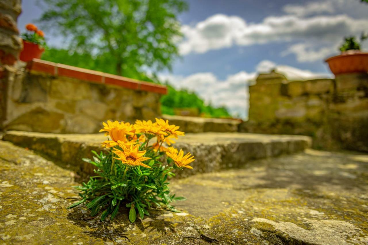 SantʼEllero Casa Al Bosco旅馆 外观 照片